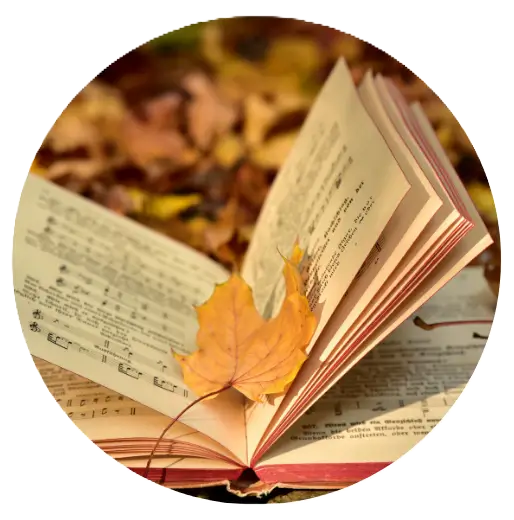 Livro folha canada
